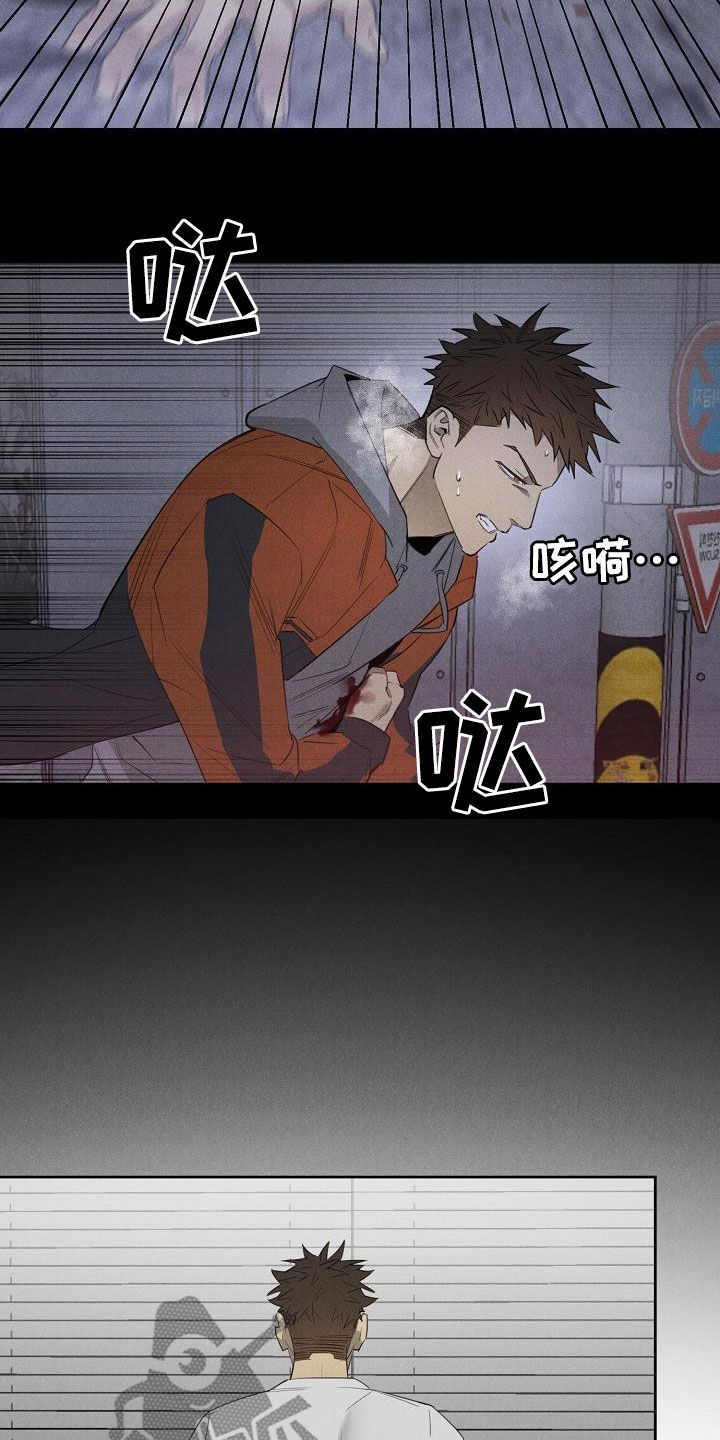 黑犬图片漫画,第17章：相片2图