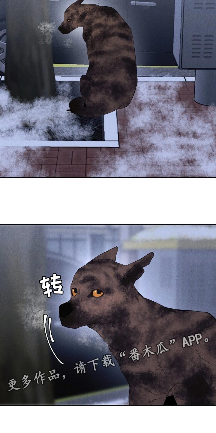 黑犬兽系列漫画,第19章：不该接受你的帮助2图