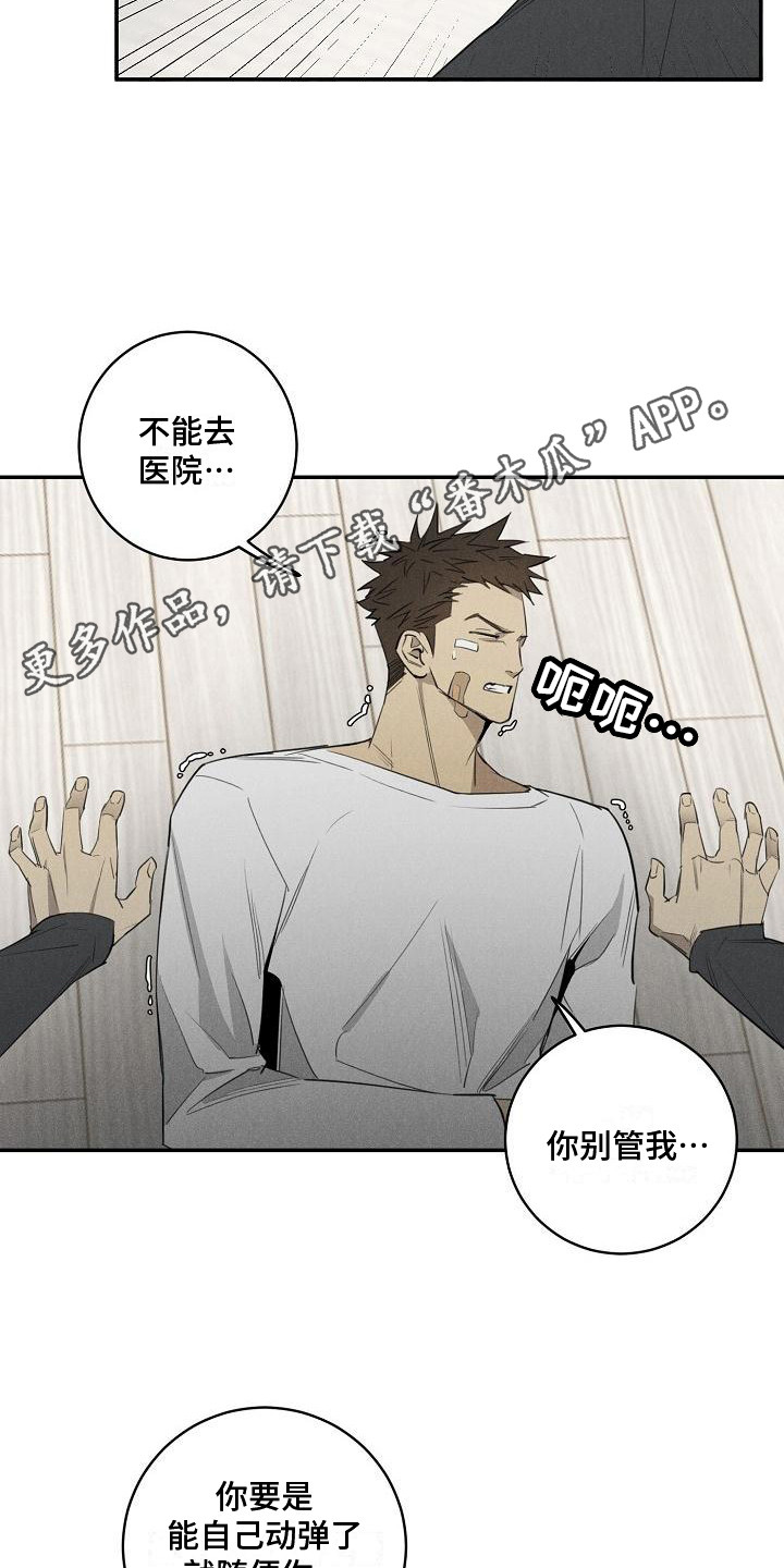 黑犬图片漫画,第6章：宠物医院1图