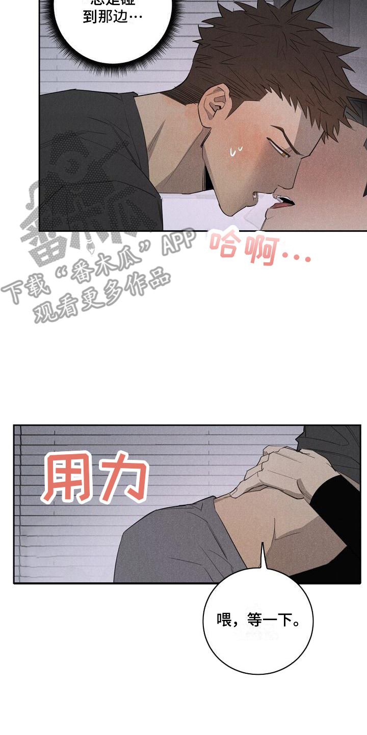 黑犬品种大全漫画,第11章：喝醉了2图