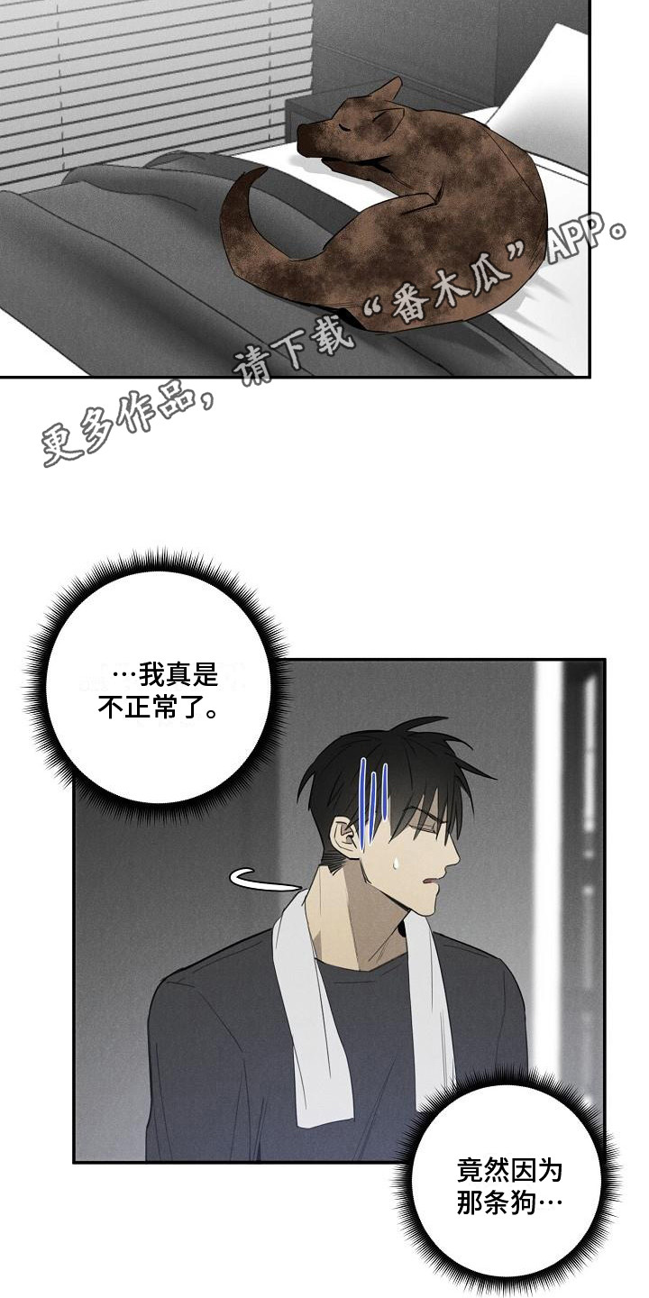 黑犬图片漫画,第8章：不正常1图