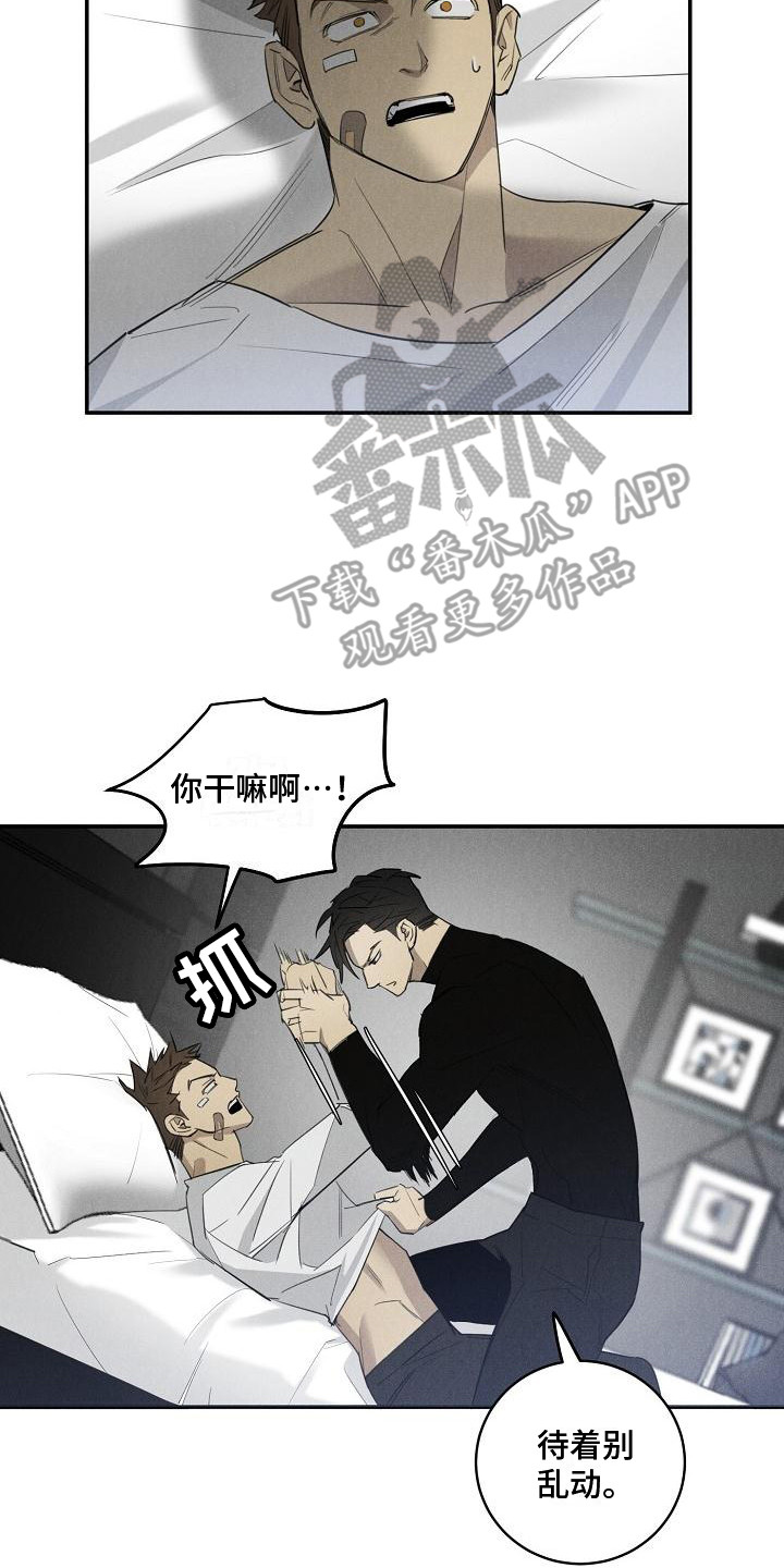 黑犬品种大全漫画,第7章：换药2图