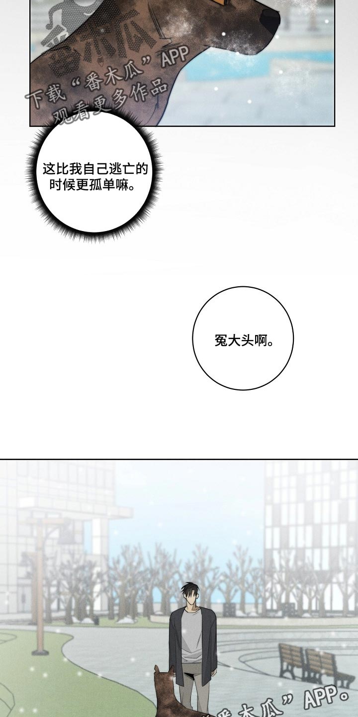 黑犬中华田园犬漫画,第22章：更孤单2图