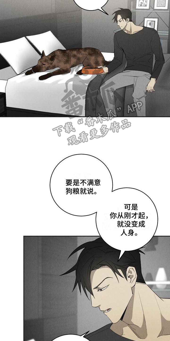 黑犬酱MO漫画,第8章：不正常2图