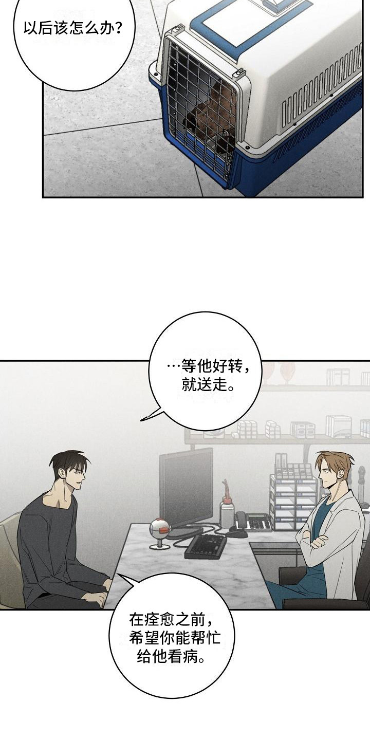 黑犬漫画,第7章：换药1图