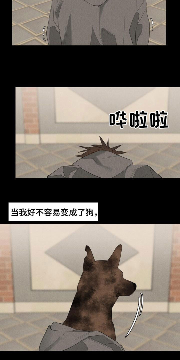 黑犬酱引韩国媒体报道漫画,第15章：债主1图