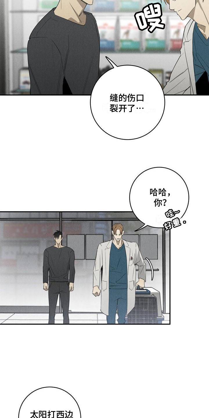 黑犬品种大全漫画,第6章：宠物医院1图