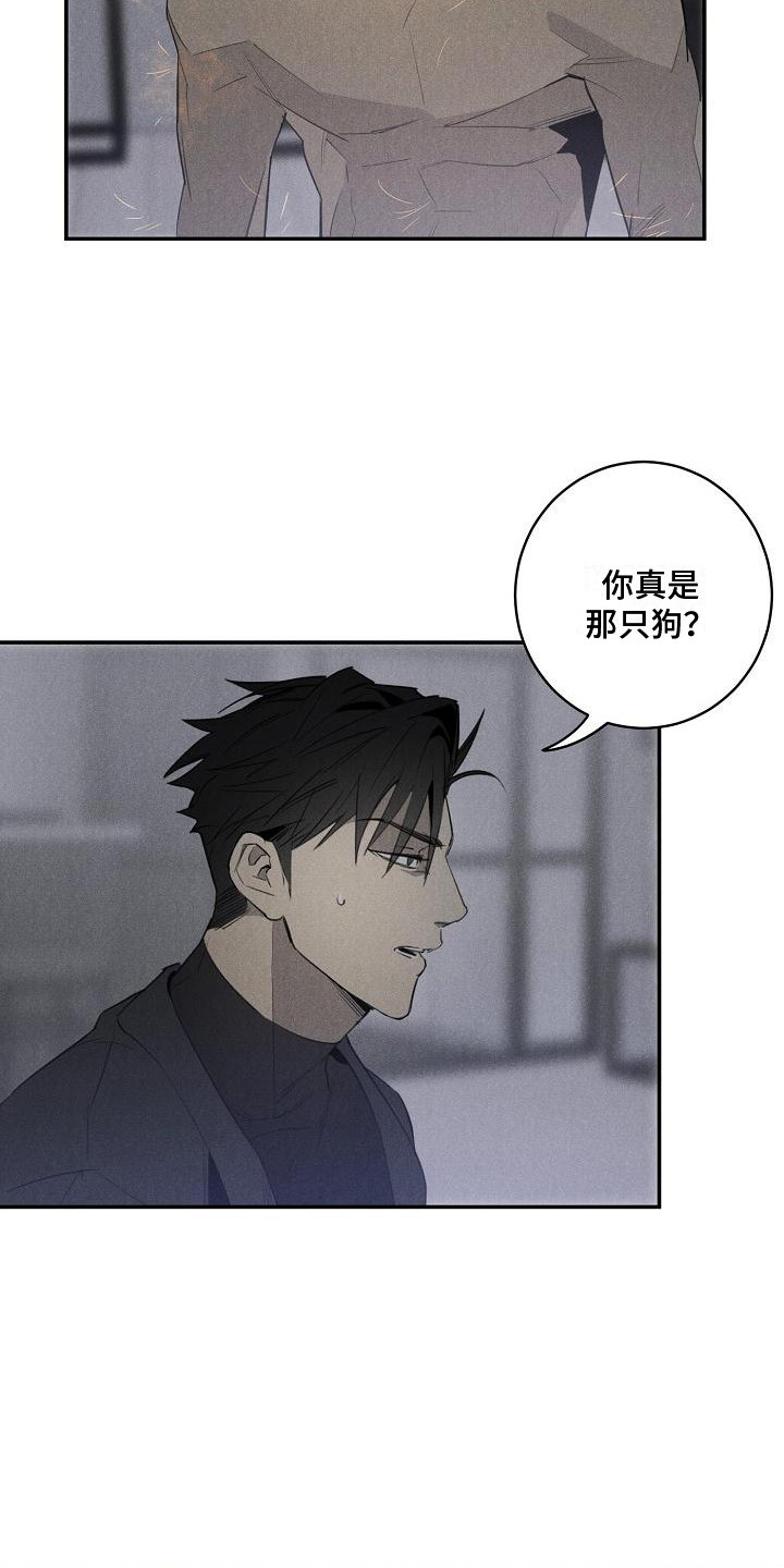 黑犬品种大全漫画,第5章：变身2图