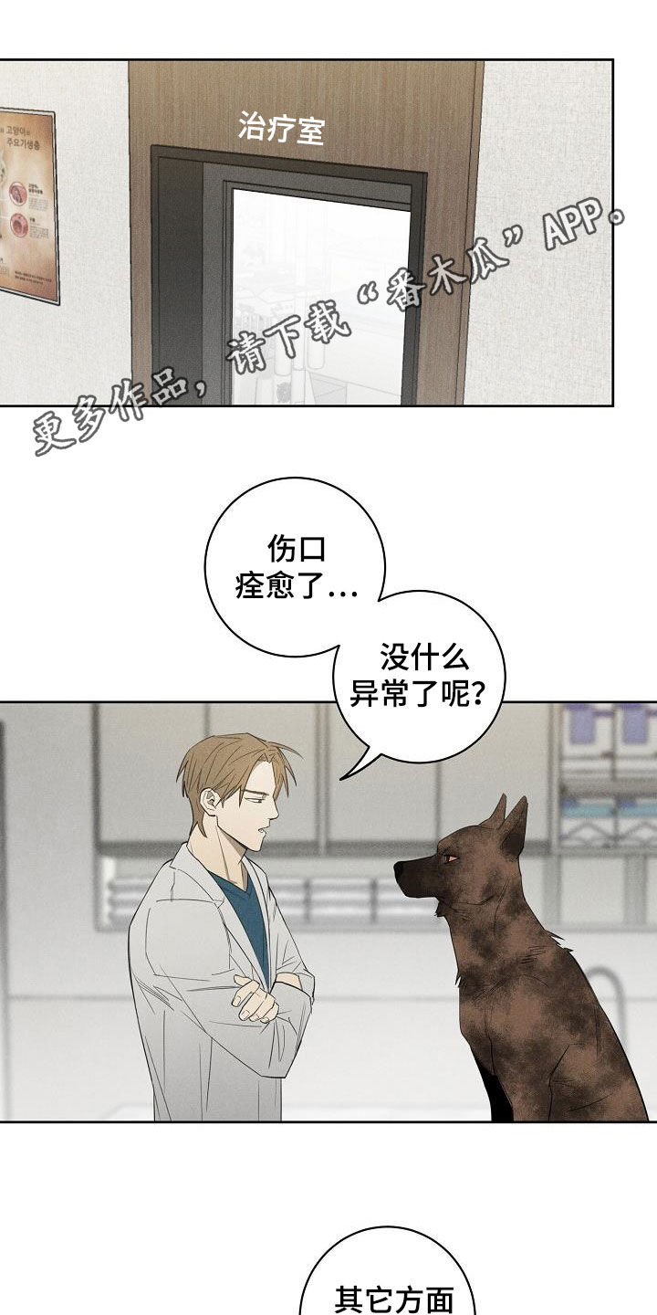 黑犬电影漫画,第14章：挽回的机会1图