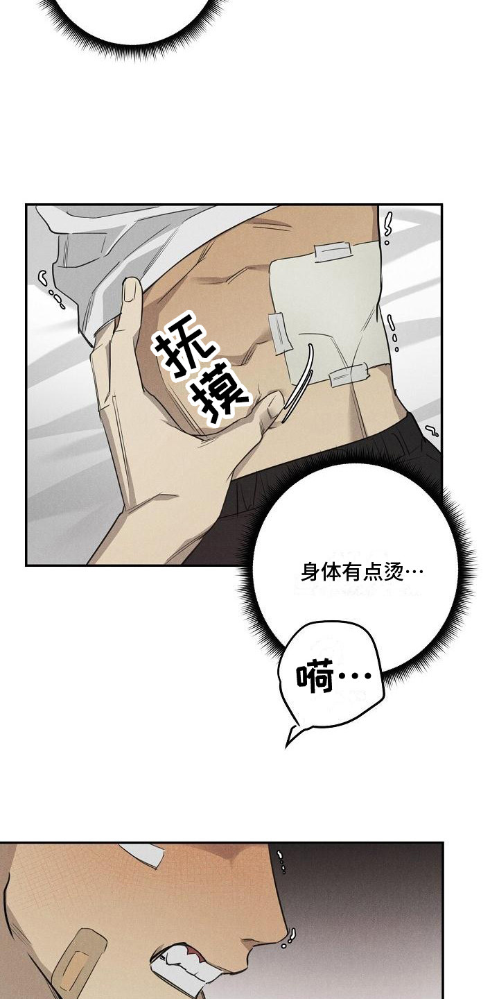 黑犬品种大全漫画,第7章：换药2图