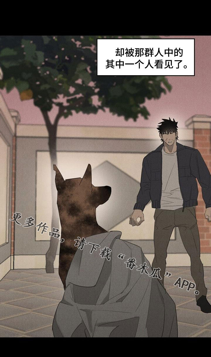 黑犬酱引韩国媒体报道漫画,第15章：债主2图