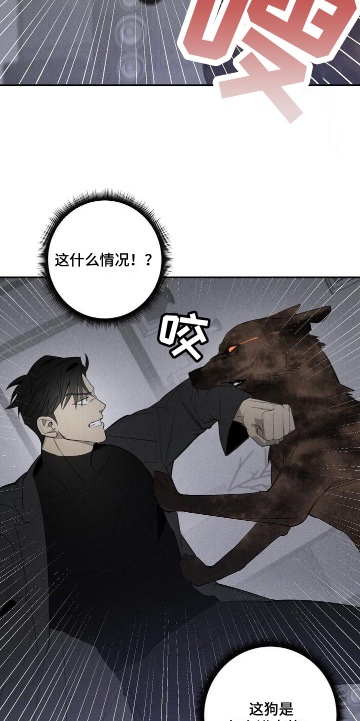 黑犬的抖音作品漫画,第5章：变身2图