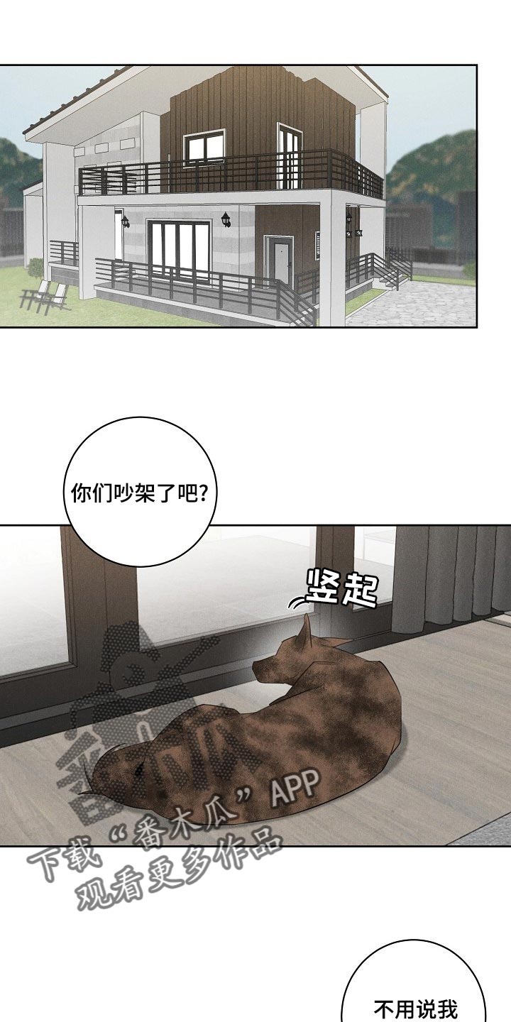 黑犬中华田园犬漫画,第20章：躲不开1图