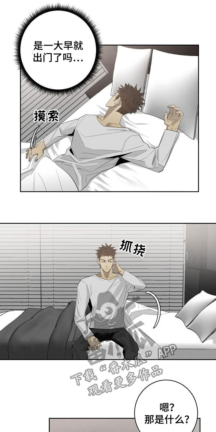 黑犬的抖音作品漫画,第17章：相片2图