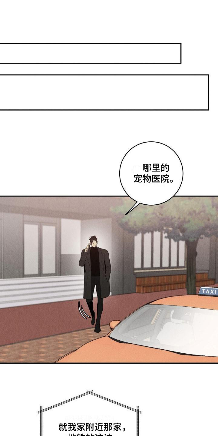 黑犬图片漫画,第2章：小偷1图