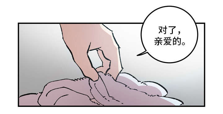 南雁栖归电视剧免费版漫画,第8章：聊聊1图