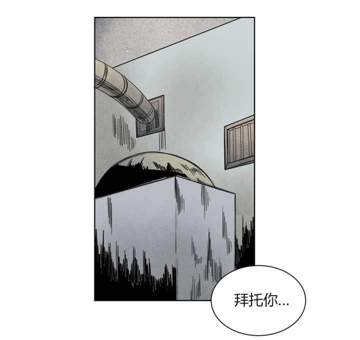 死亡之鸟的凝视百度网盘下载漫画,第49话2图