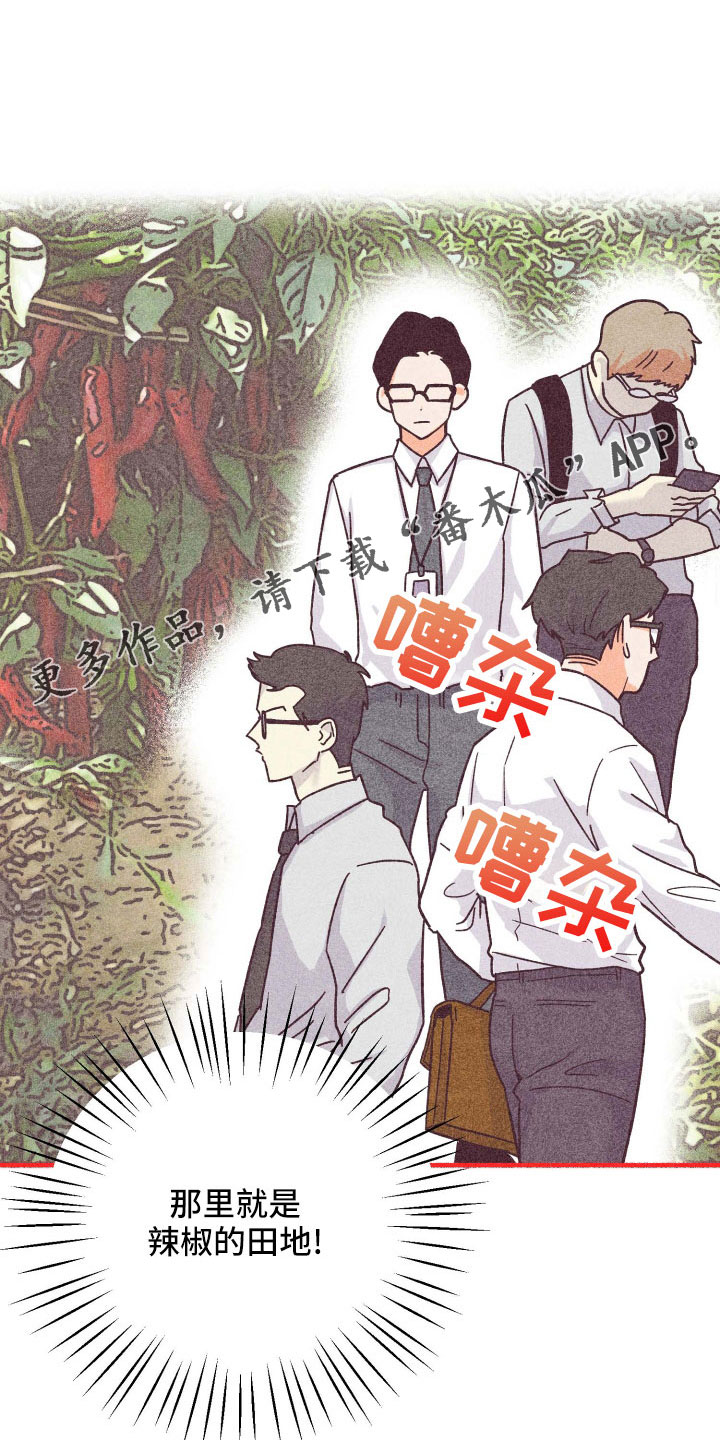 许愿卡漫画,第39章：太刺激1图