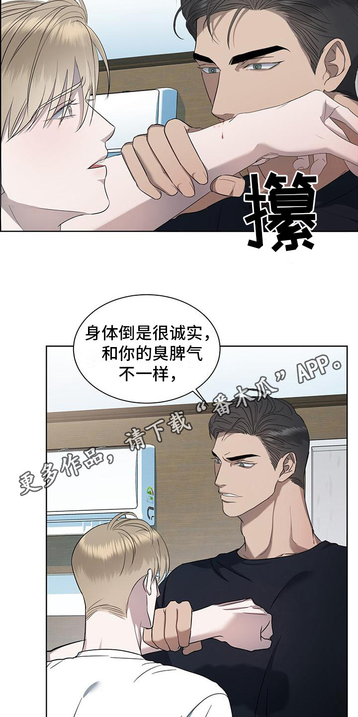 水上球球酷跑视频漫画,第11章：初遇1图