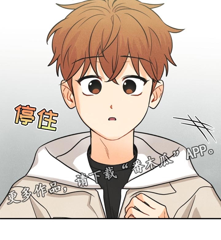 猫可莉的兔玩偶攻略漫画,第35章：两个办法2图