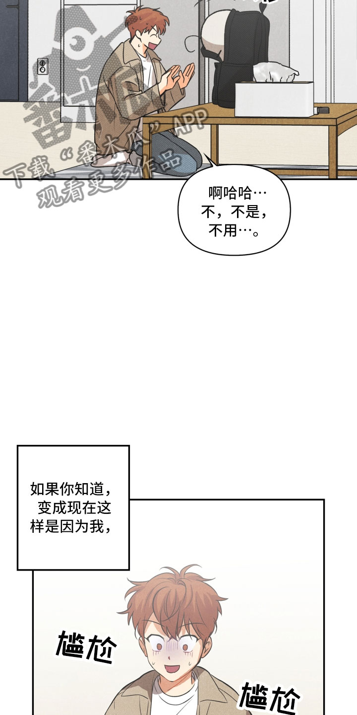 玩偶攻略画风超可爱漫画,第7章：初始2图