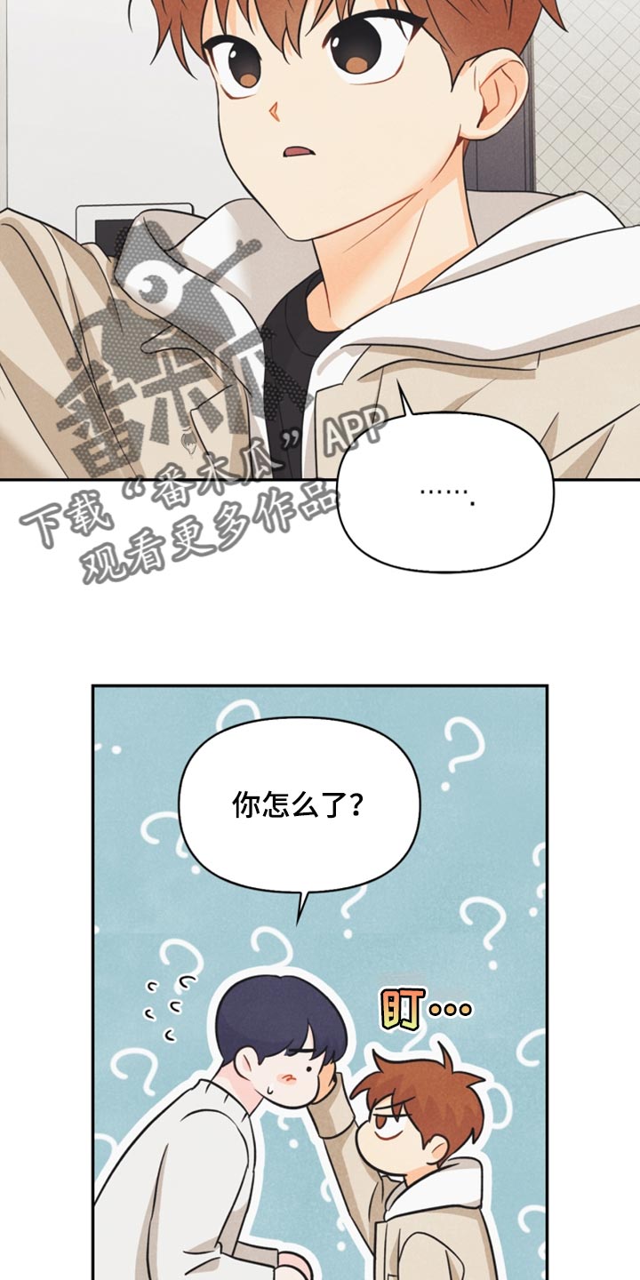 你的玩偶攻略漫画,第42章：祝贺2图