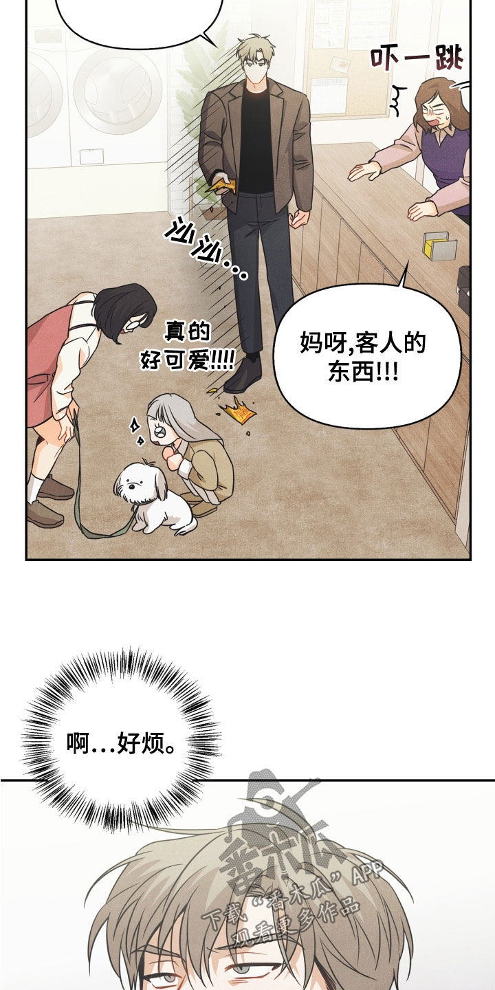 玩偶少女攻略漫画,第77章：【番外】不可以2图