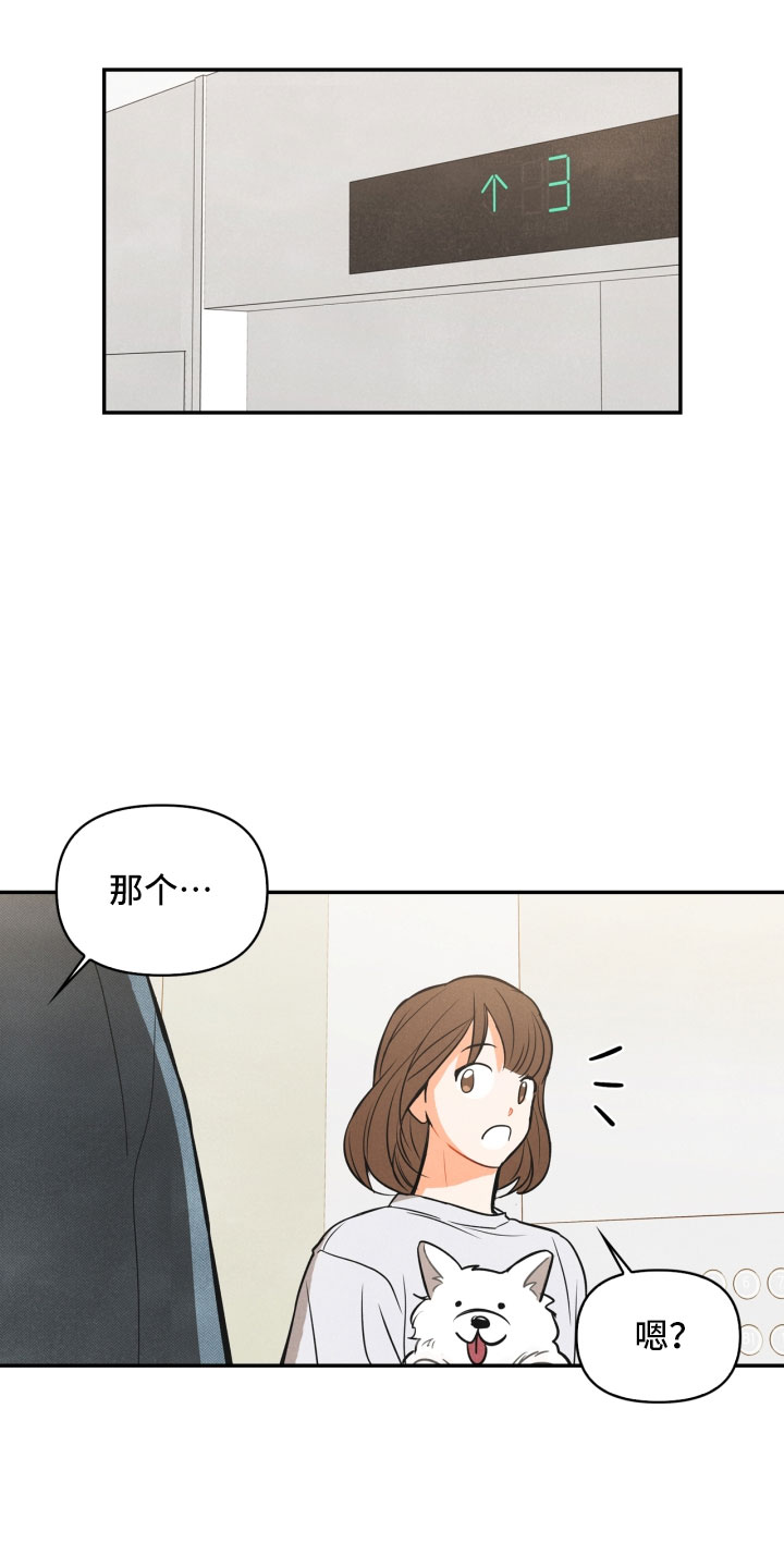 猫可莉的兔玩偶攻略漫画,第1章：告白2图