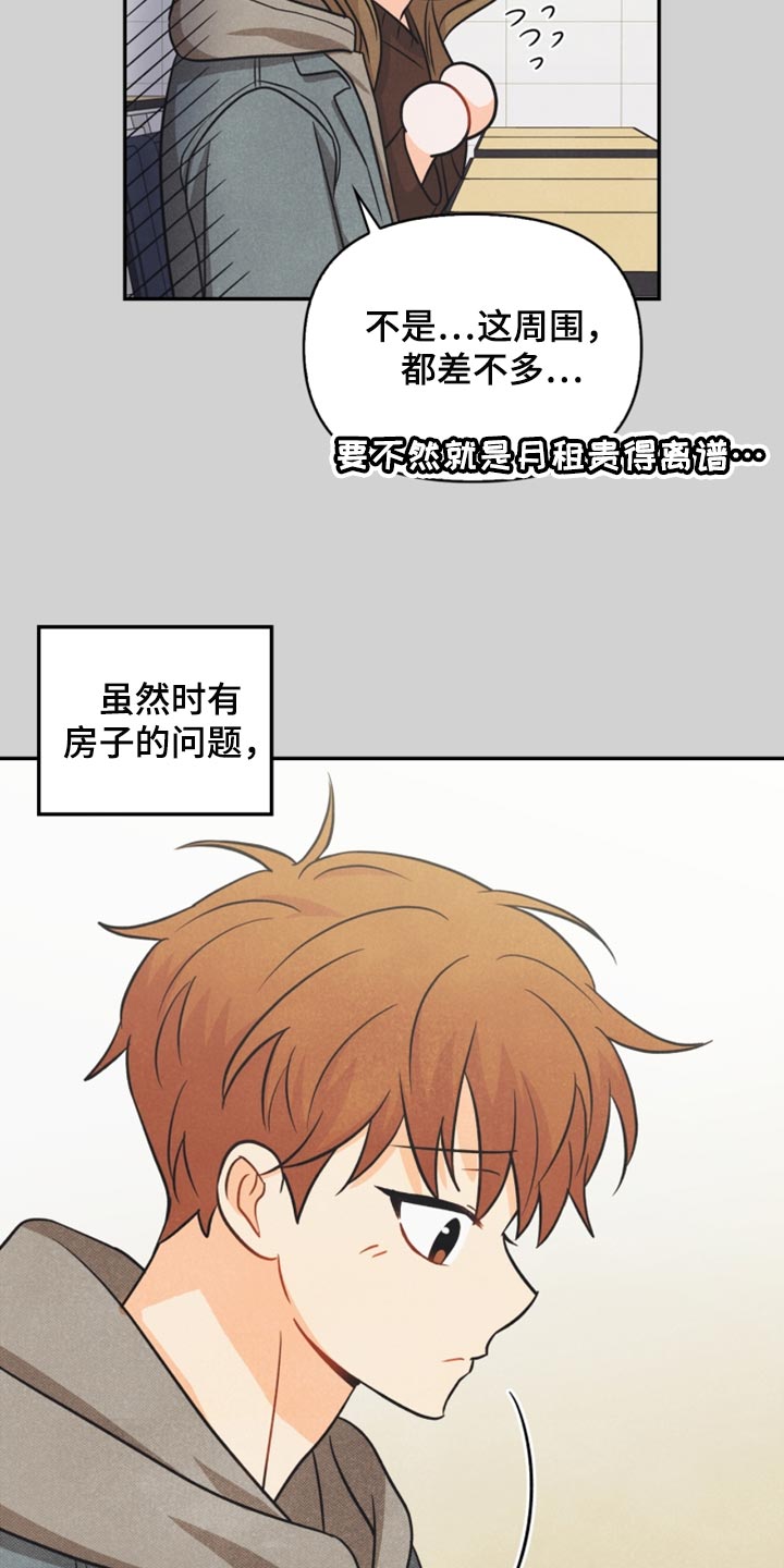 玩偶省钱攻略漫画,第41章：转机1图