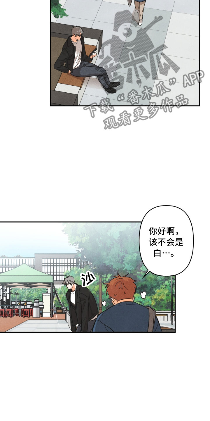 玩偶娃娃漫画,第9章：殴打2图