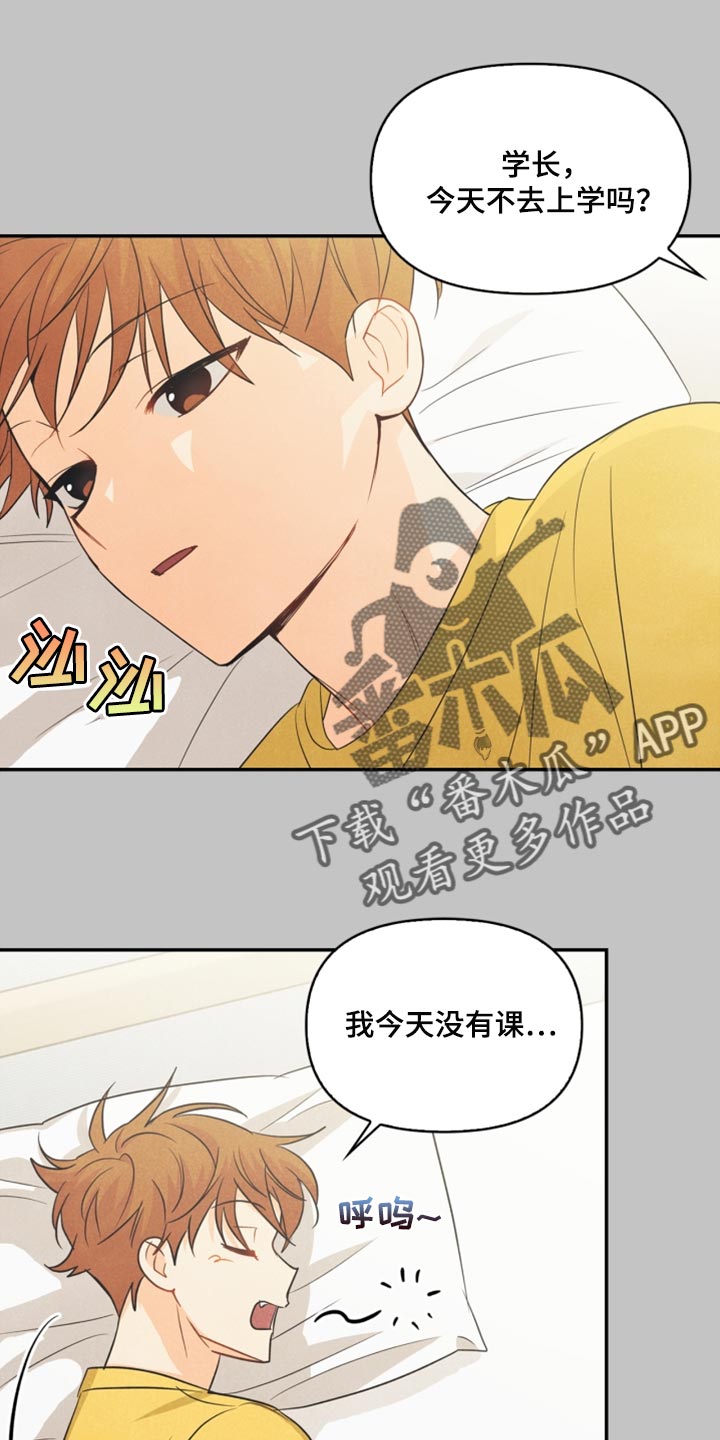 玩偶攻略漫画,第59章：看电影1图