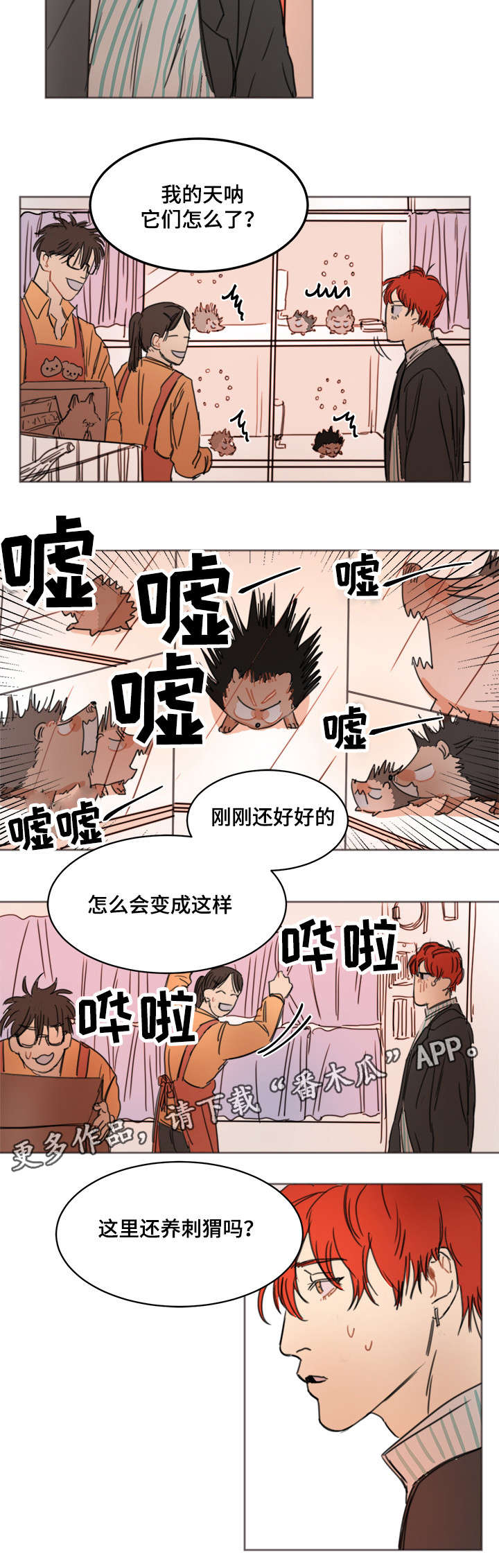 单独尺码漫画,第7章：刺猬2图
