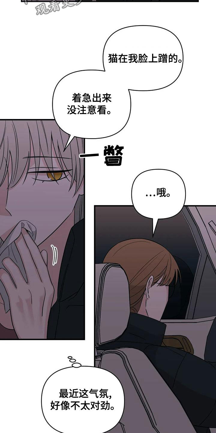 随身记录仪价格漫画,第81章：【第二季】不听劝1图