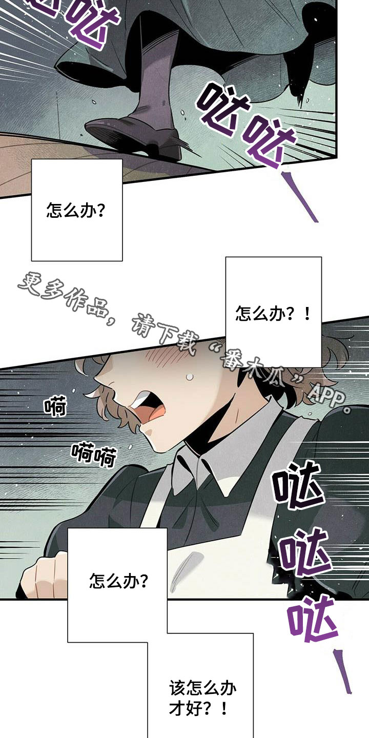 帕弗尔宾馆附近漫画,第50章：菜鸟老板2图