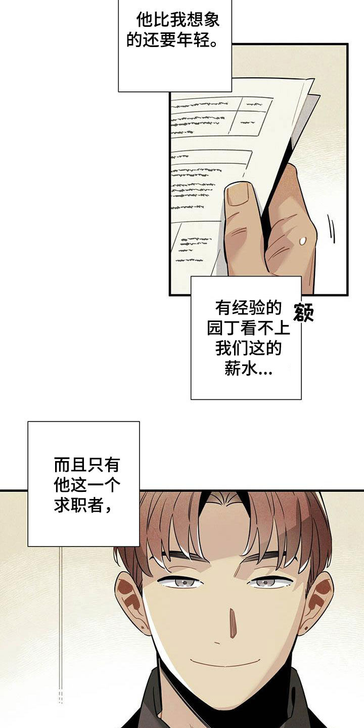 托帕斯生态旅馆漫画,第28章：录用2图