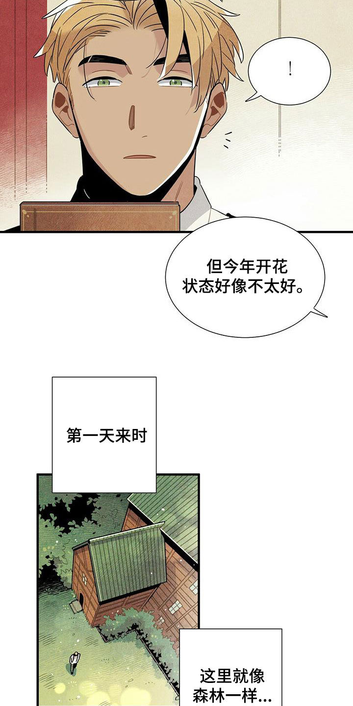 帕鲁斯旅馆漫画,第19章：跟我来1图