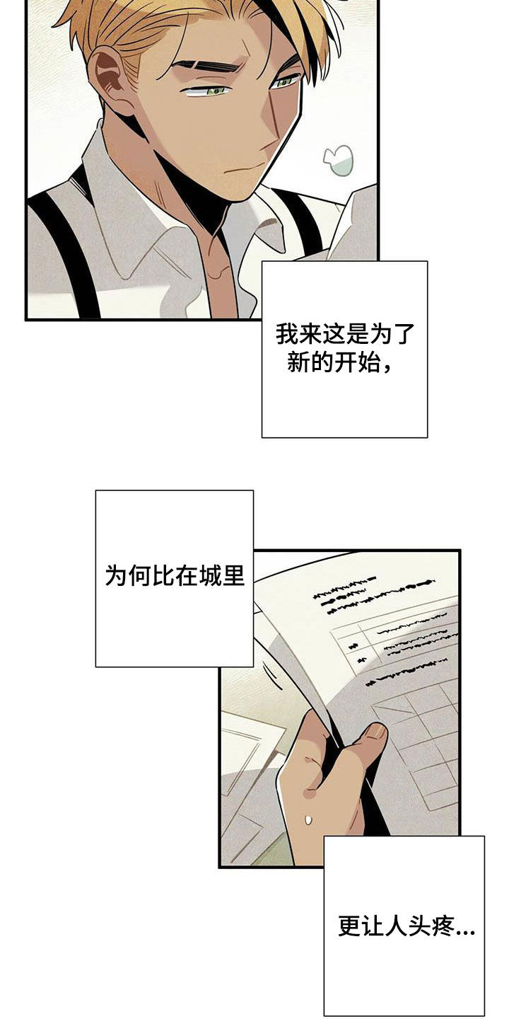 帕弗尔宾馆附近漫画,第35章：夜市1图