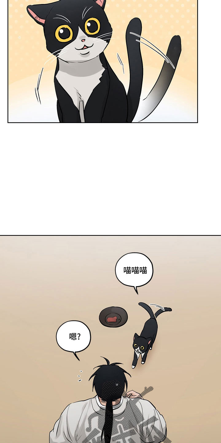 纵情向雾漫画,第48章：请多关照1图