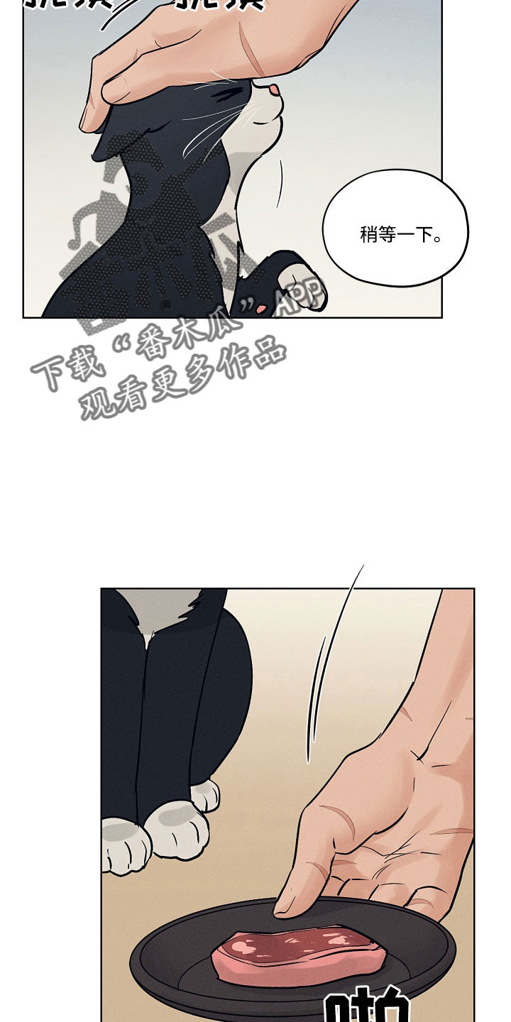 纵情向雾漫画,第47章：污点2图