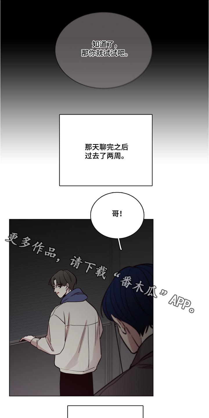 车手演员表漫画,第77章：【第二季】心疼1图