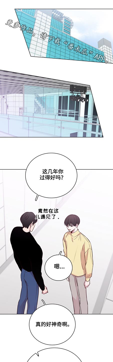 车手剧情漫画,第84章：【第二季】前辈1图