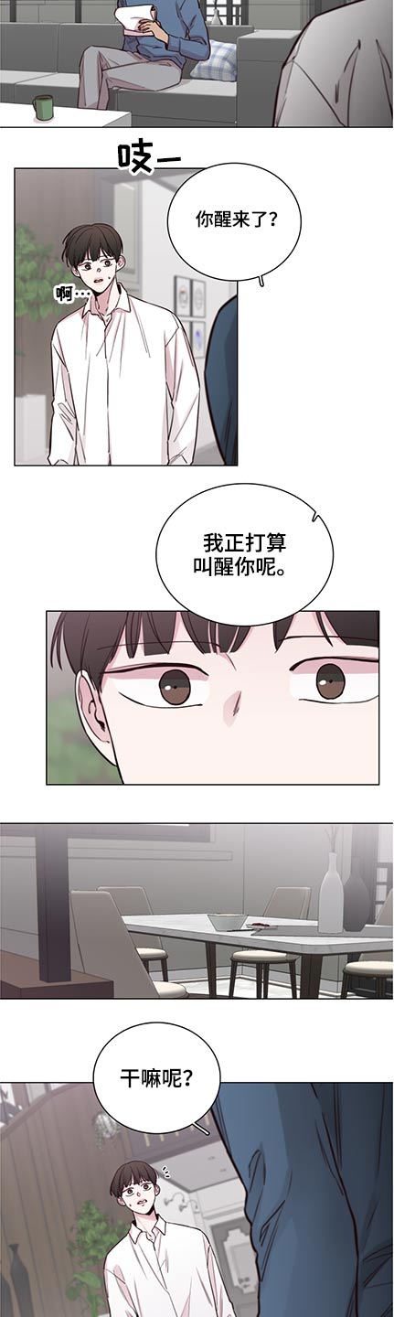 车手和赛车完美结合漫画,第93章：【第二季】错事2图