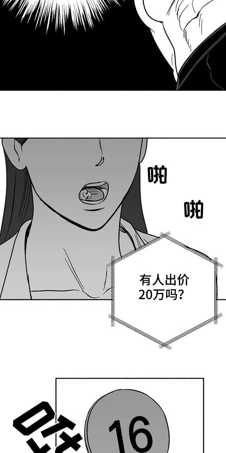 绯色长夜韩漫63章漫画,第28章：竞拍1图