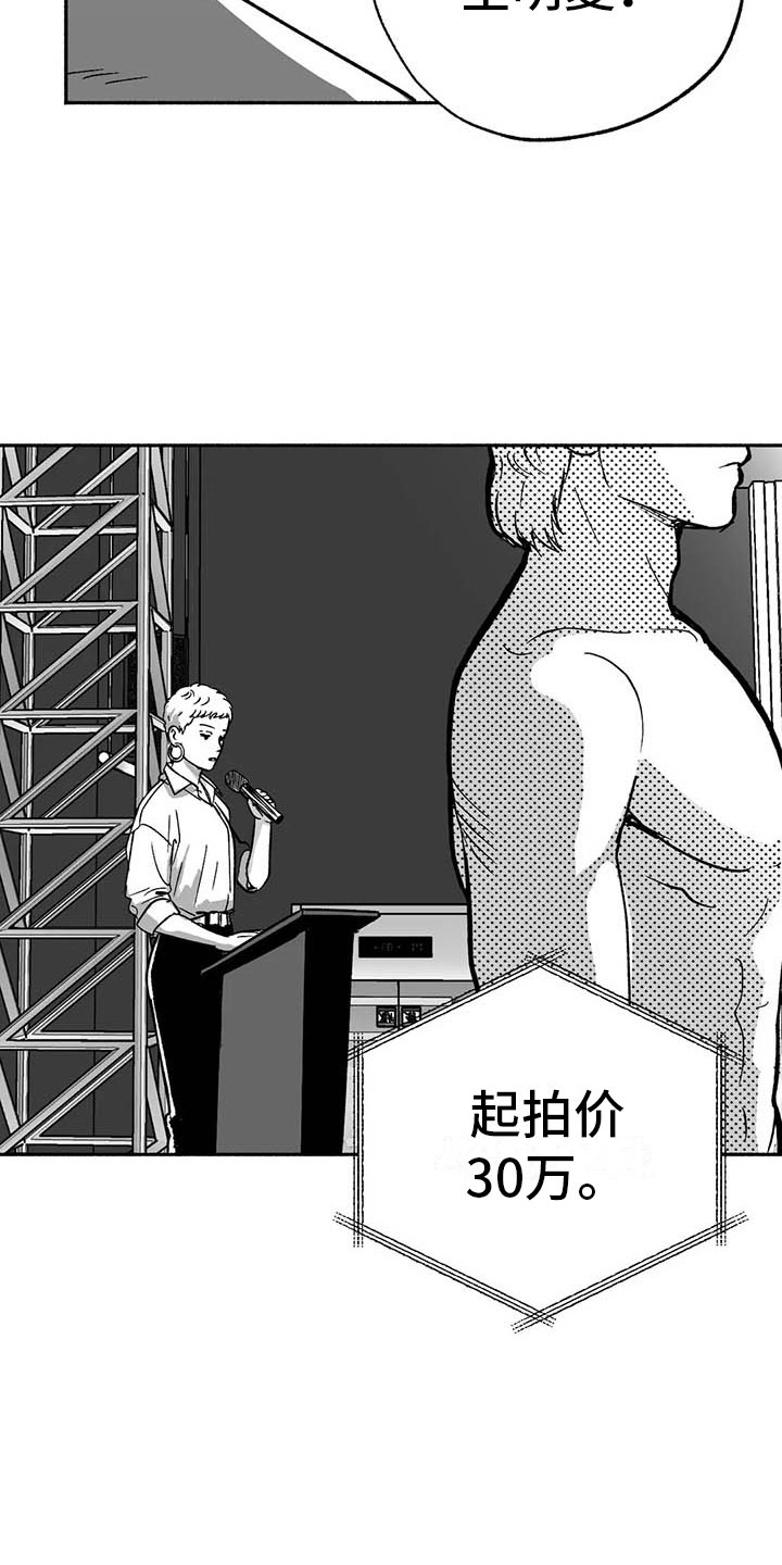 绯色长夜最后一章漫画,第16章：把号码给我1图