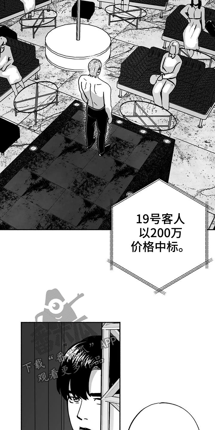 绯色长夜漫画,第33章：新客人2图