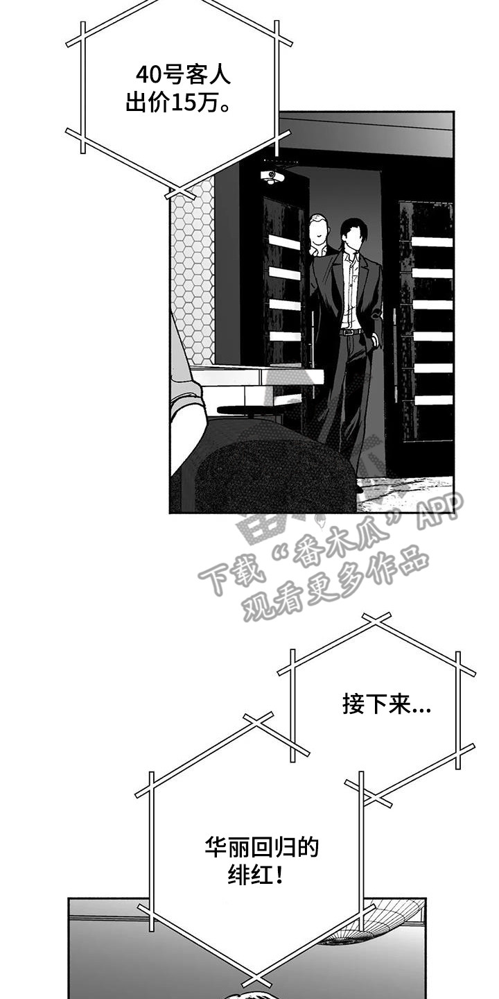 绯色长夜免费阅读漫画,第66章：出价2图