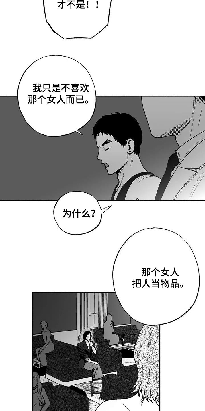 绯色长夜最后一章漫画,第65章：回归2图