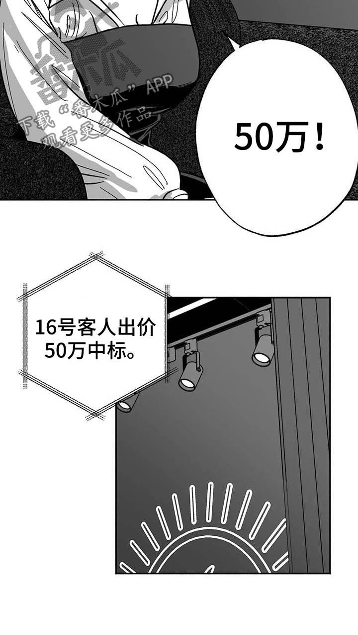 绯色长夜韩漫63章漫画,第28章：竞拍1图