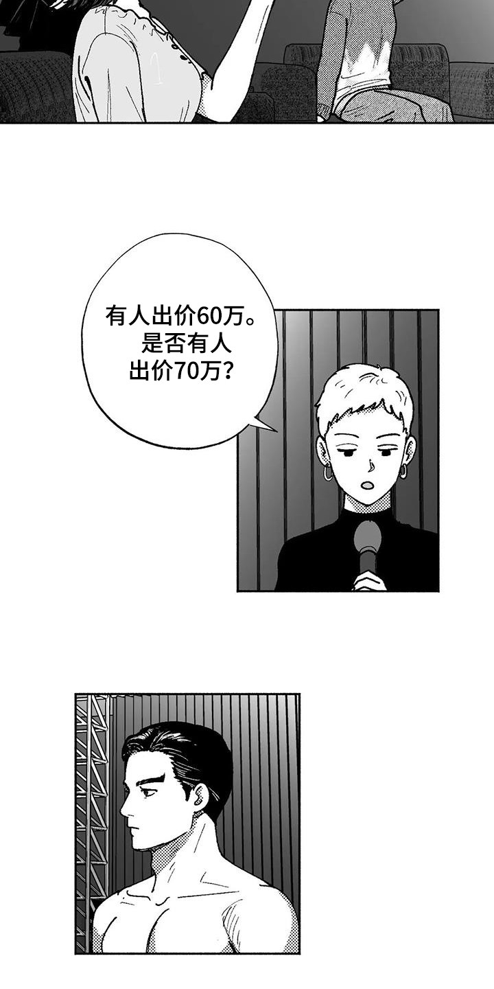 绯色长夜漫画,第66章：出价2图