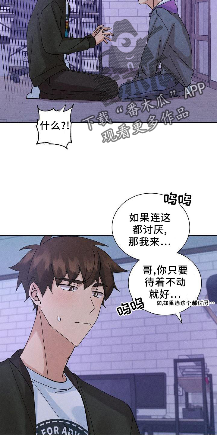 别样的安慰漫画在线观看漫画,第10章：结束1图